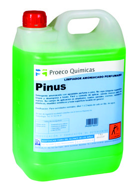 Pinus 